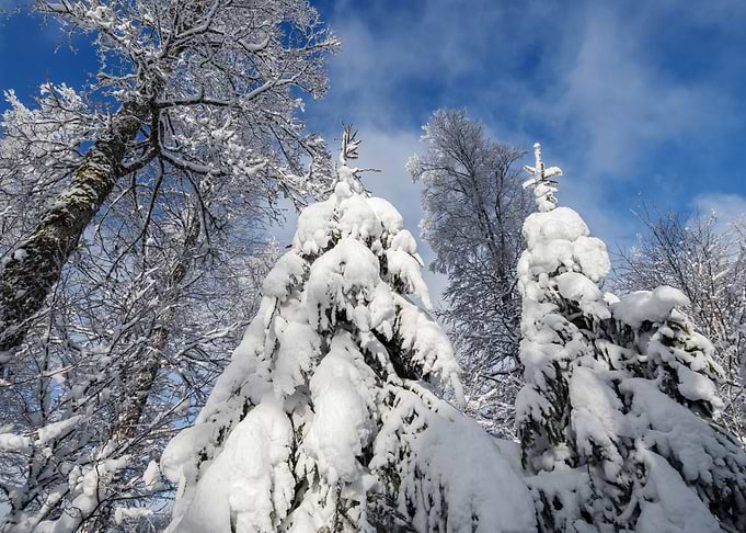 Fantastic winter landscape