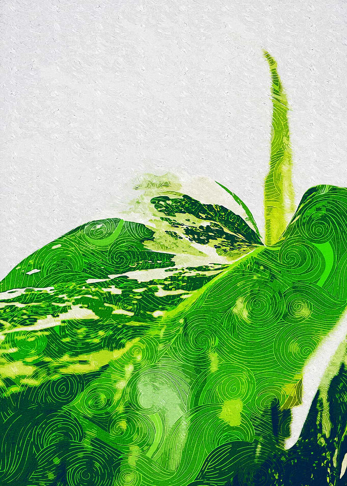 Large Monstera Leaves Art