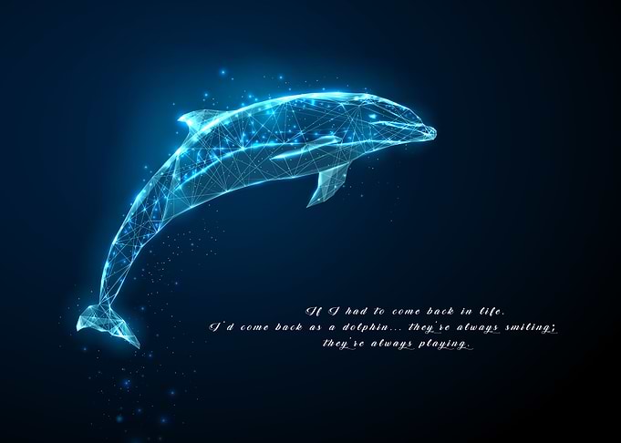 Dolphin