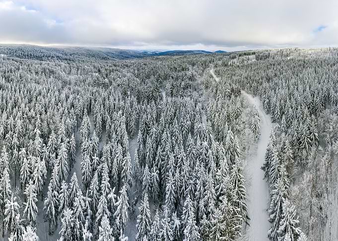 Fantastic winter landscape
