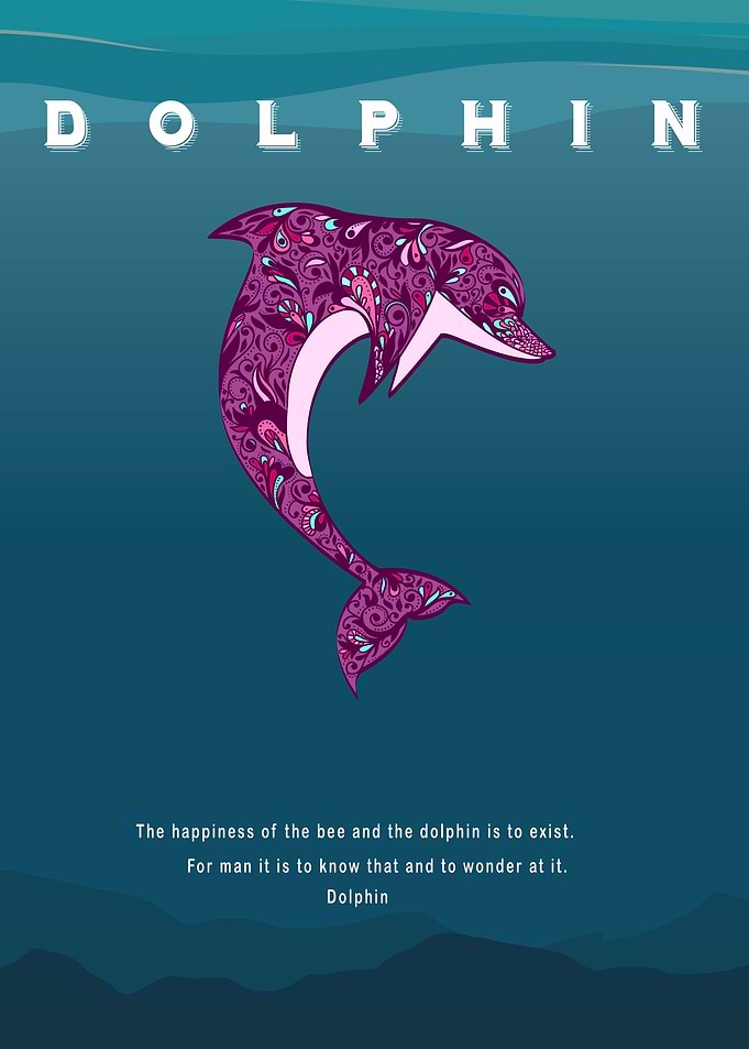 Dolphin