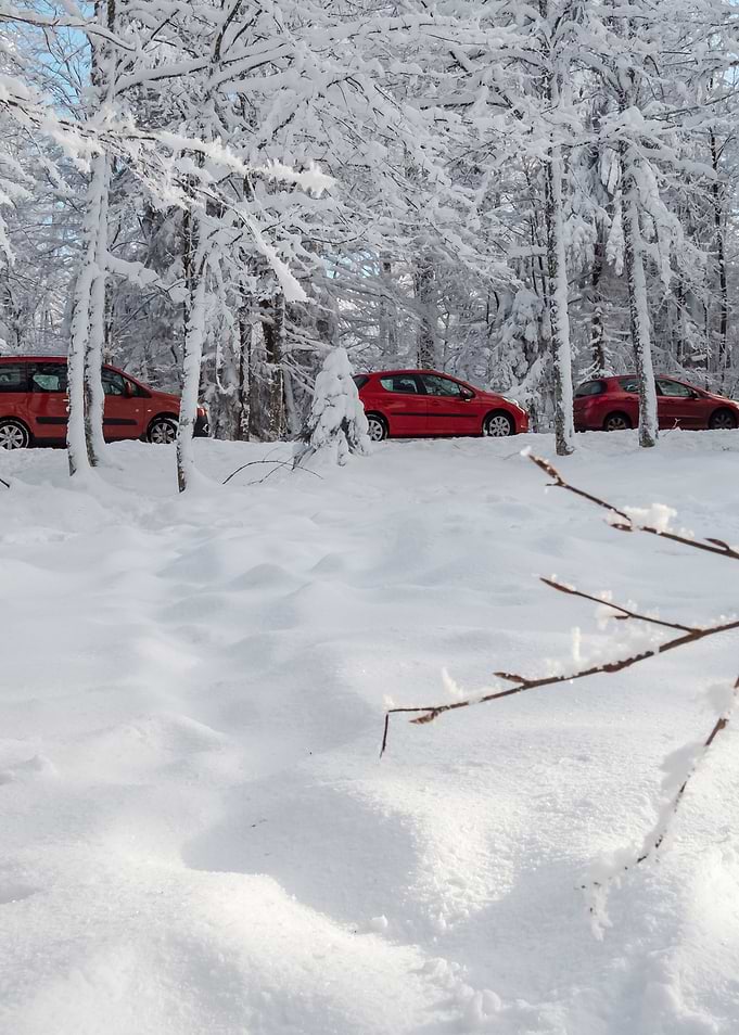 Fantastic winter landscape