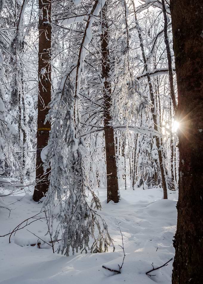 Fantastic winter landscape
