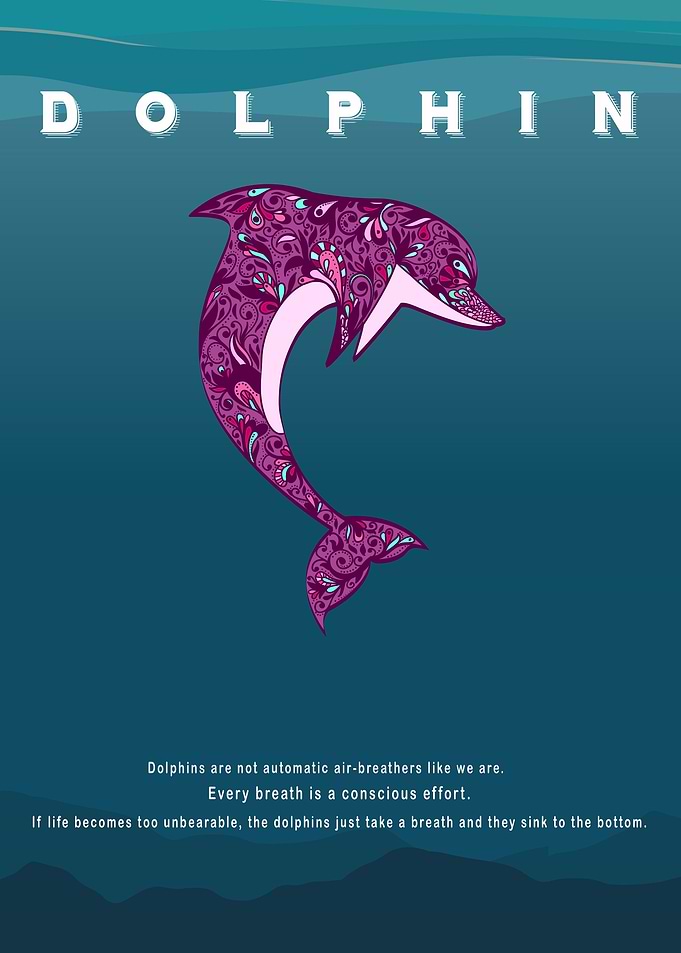 Dolphin