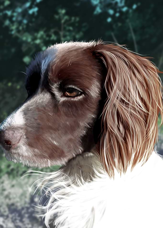 Outside Dog