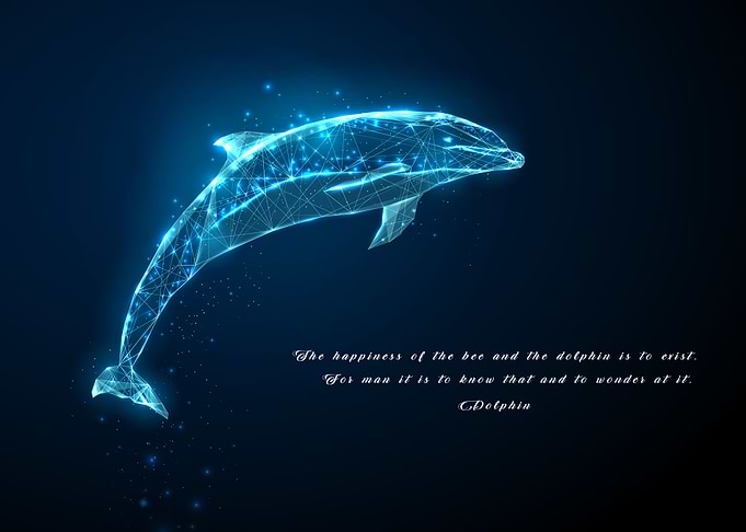 Dolphin