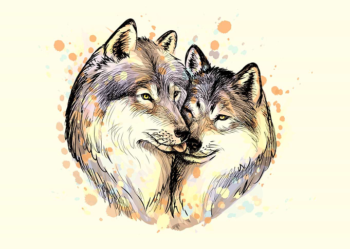 Wolf