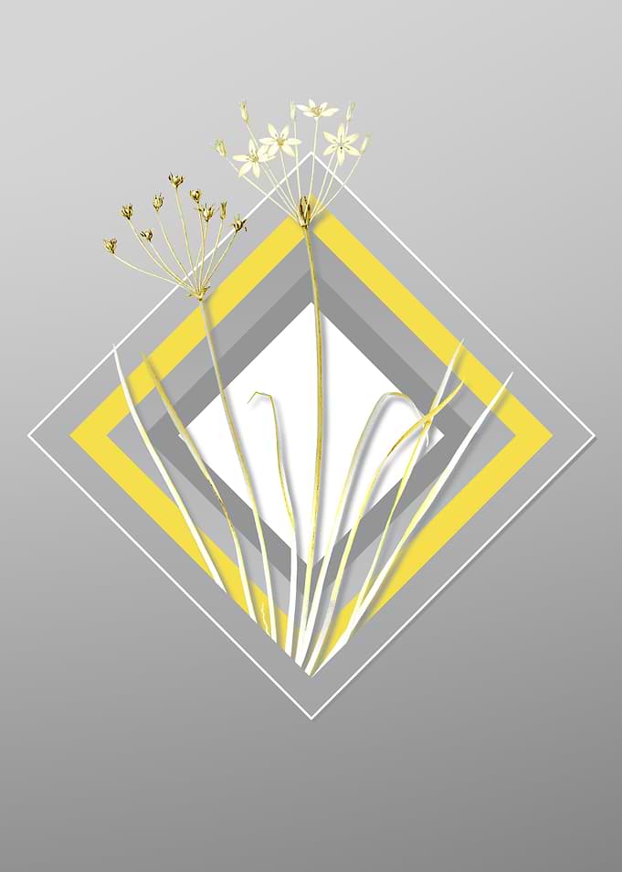 Gray and Yellow Allium Art