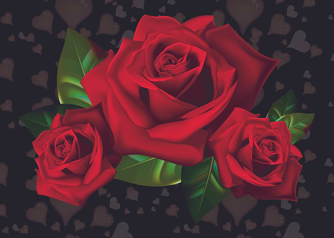 Red roses