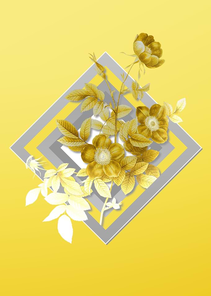 Yellow Alpine Rose Flower
