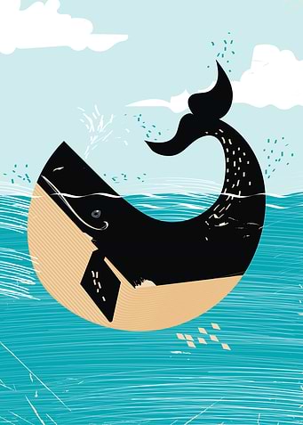 Whale