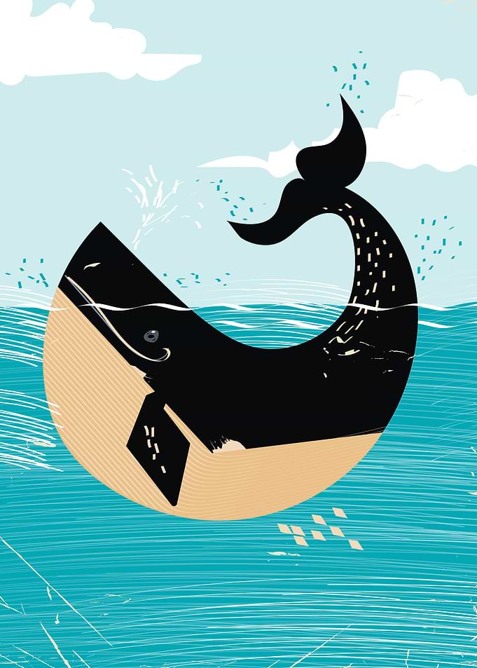 Whale