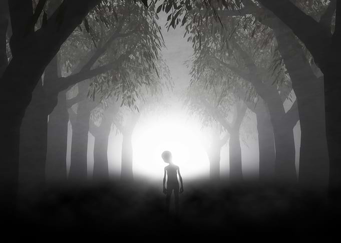 Alien in the forest