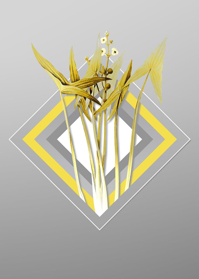 Gray and Yellow Arrowheads