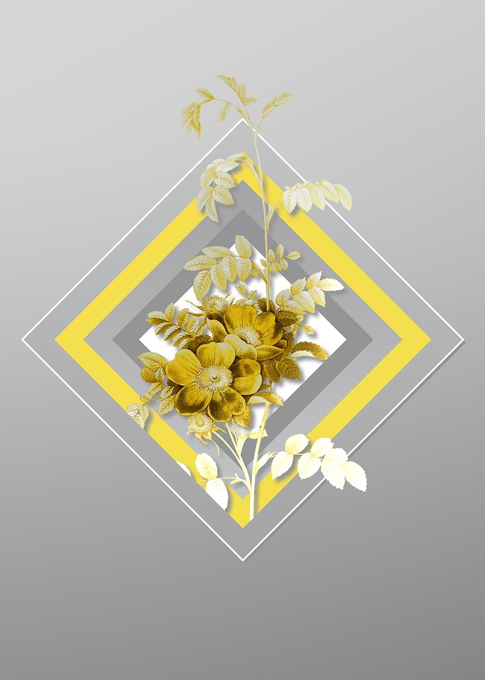 Gray Alpine Rose Flower