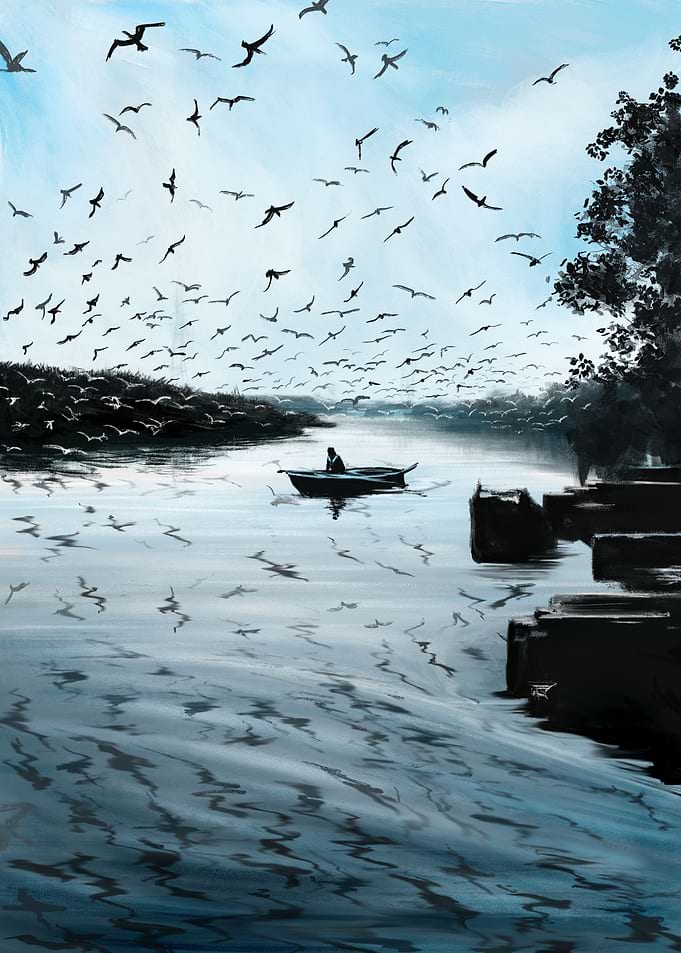Birds