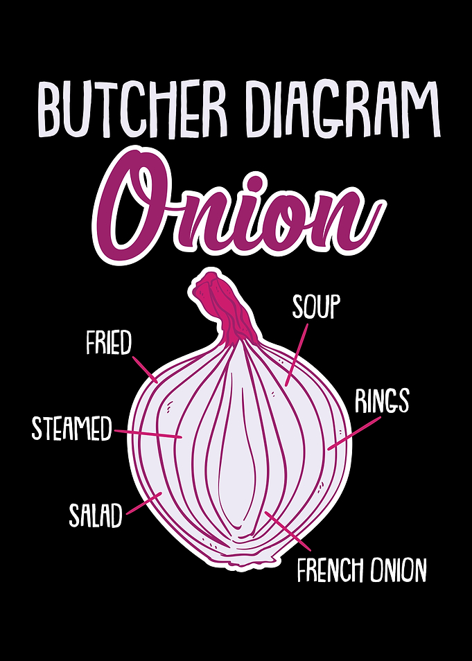 Onion Anatomy