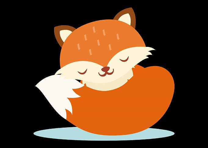 Fox Foxes Sleep Sleeping W