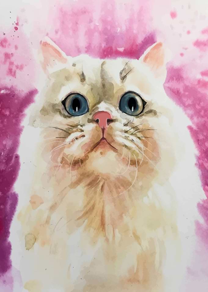 Cute Cat