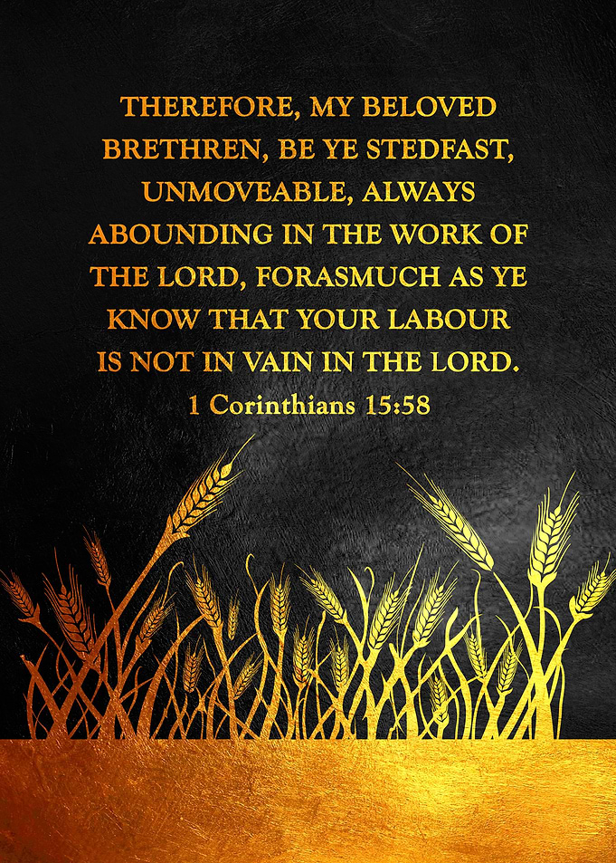 1 Corinthians 15 58