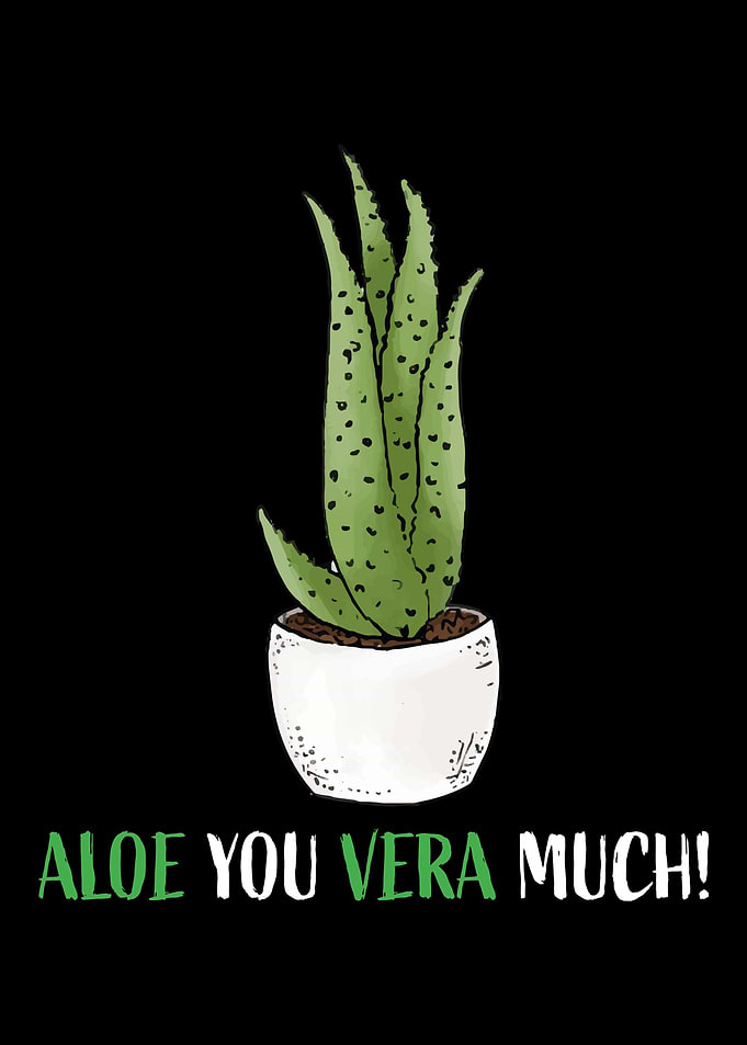 Aloe Vera Garden Plant Flo