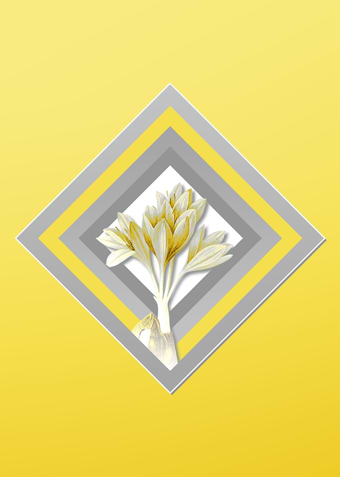 Yellow Autumn Crocus Flora