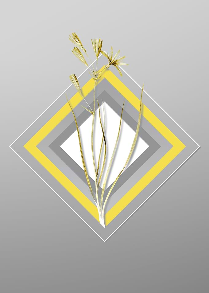 Gray Amaryllis Montana Art