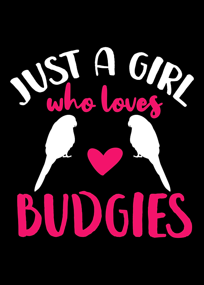 Budgie Budgie Lover Parake