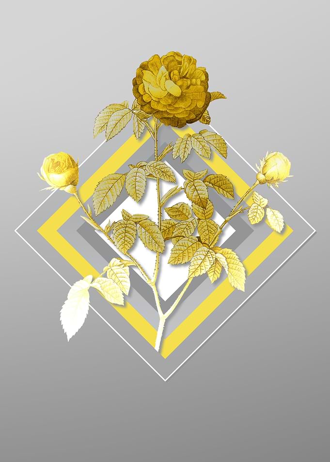 Gray Agatha Rose Flower