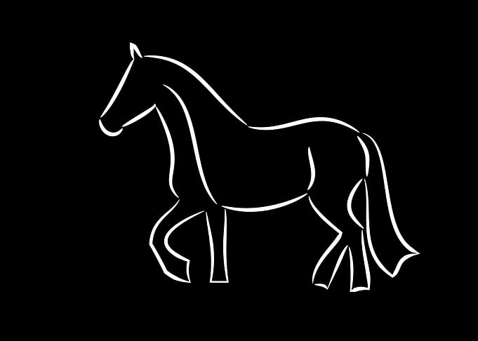 Pferde Geschenk Reiten