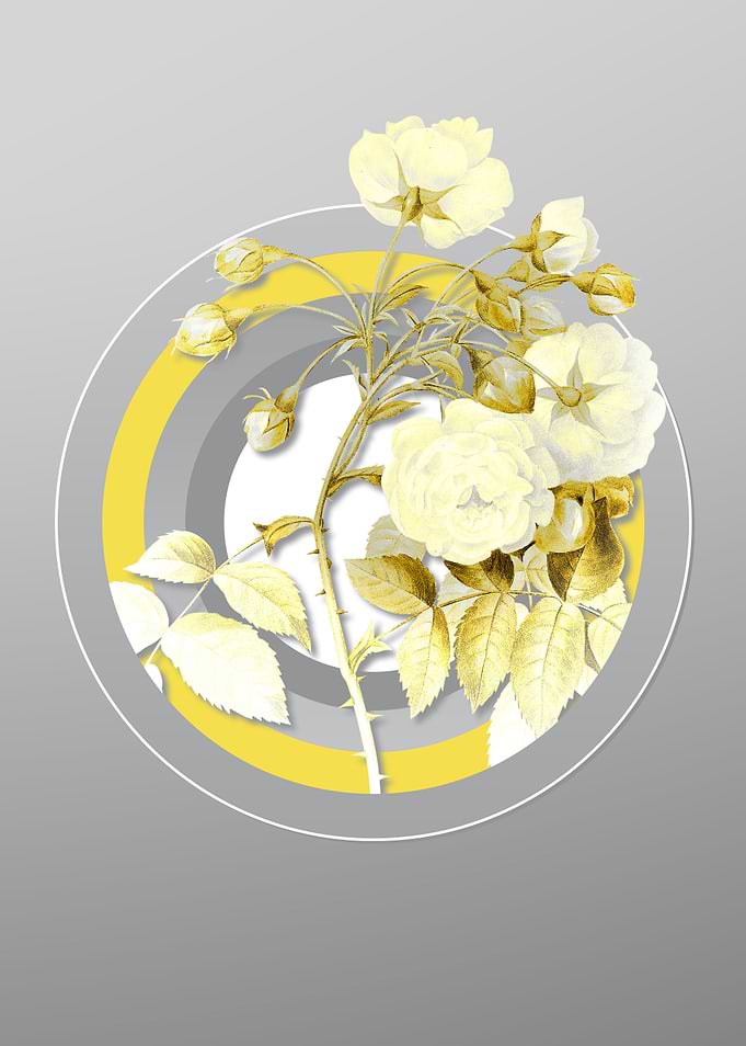 Gray and Yellow Flowers