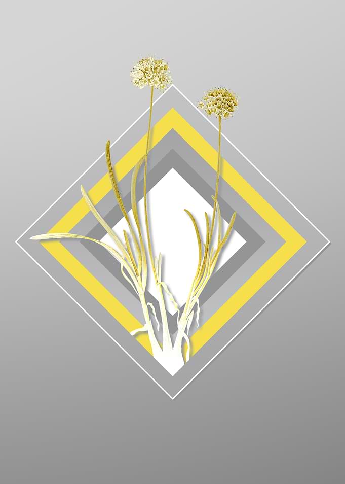 Gray and Yellow Allium Art