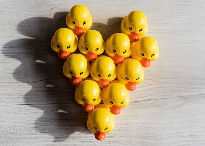 Love ducks