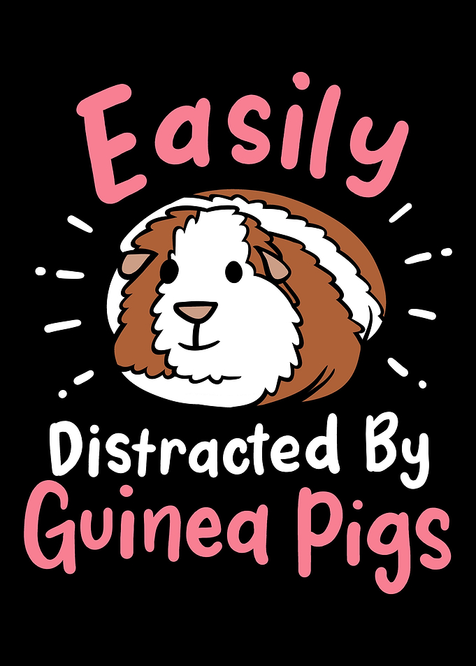 Guinea Pig Guinea Pig Love