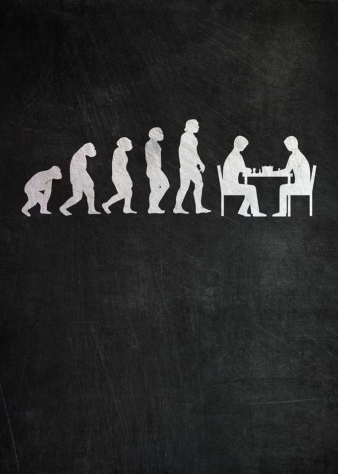 Chess Evolution