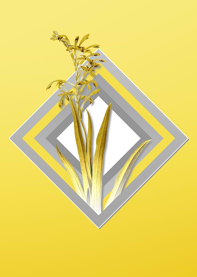 Grey and Yellow Flower