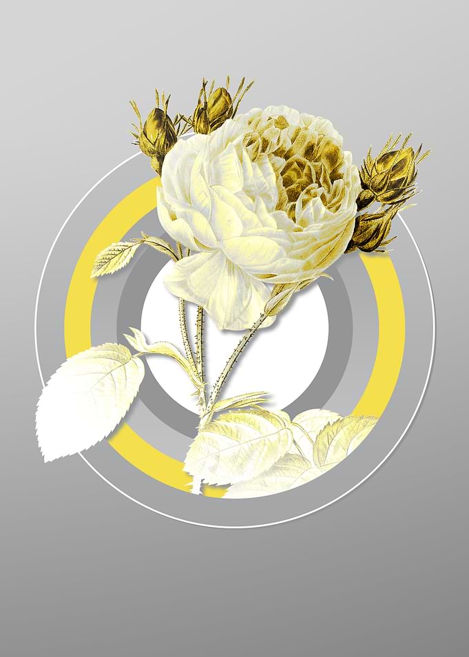 Grey Rose Floral Botanical