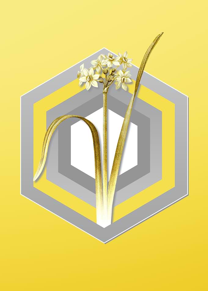 Yellow Flower Illustration
