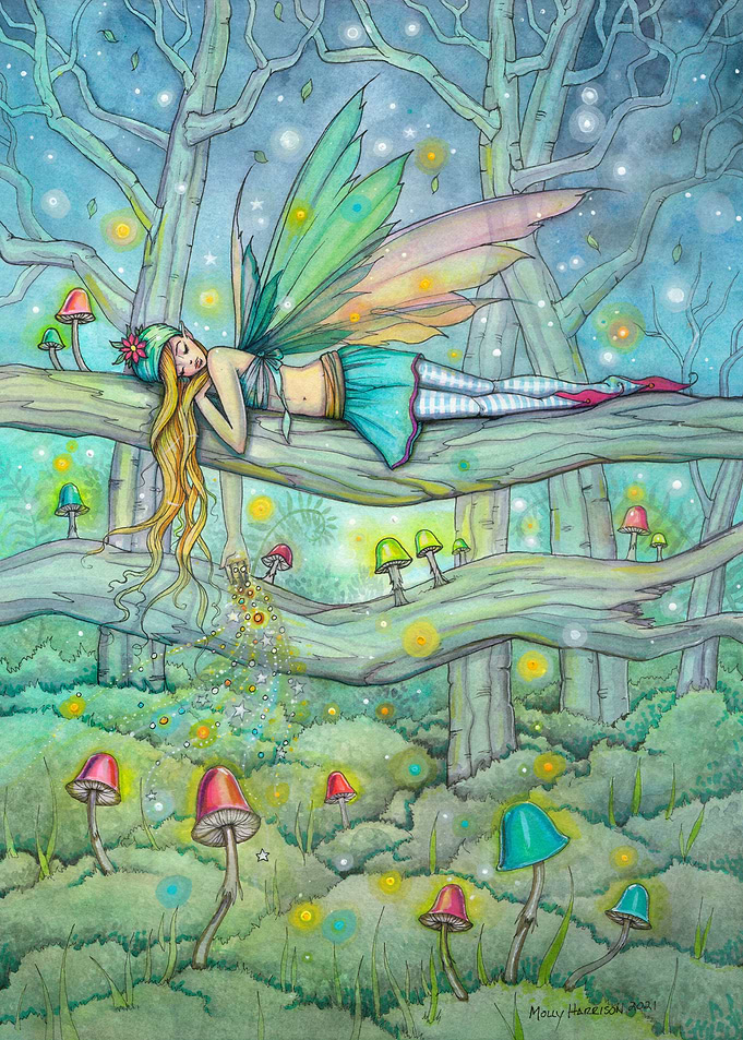 Enchanted Forest