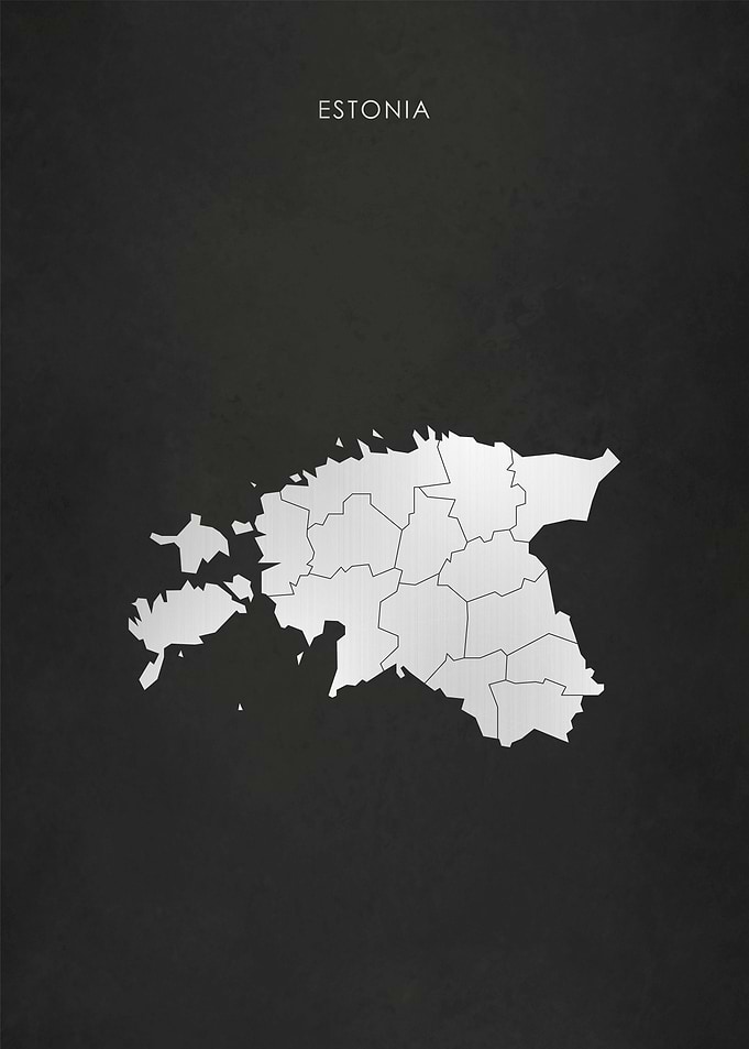 Silver Estonia Map