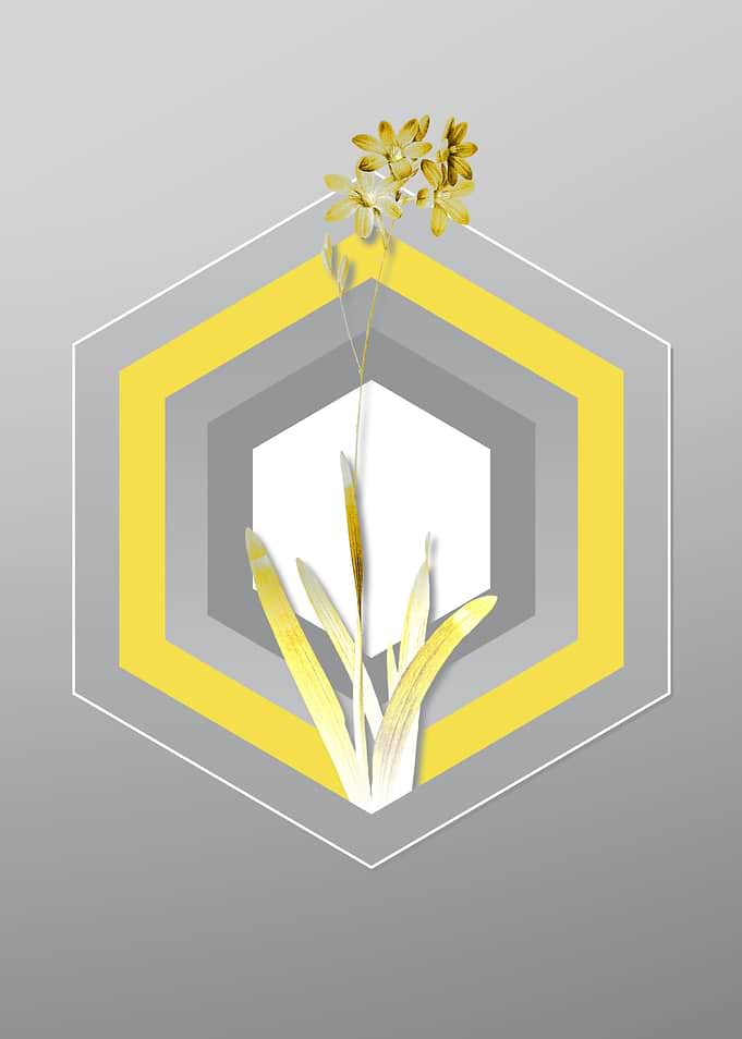 Gray Flower Illustration
