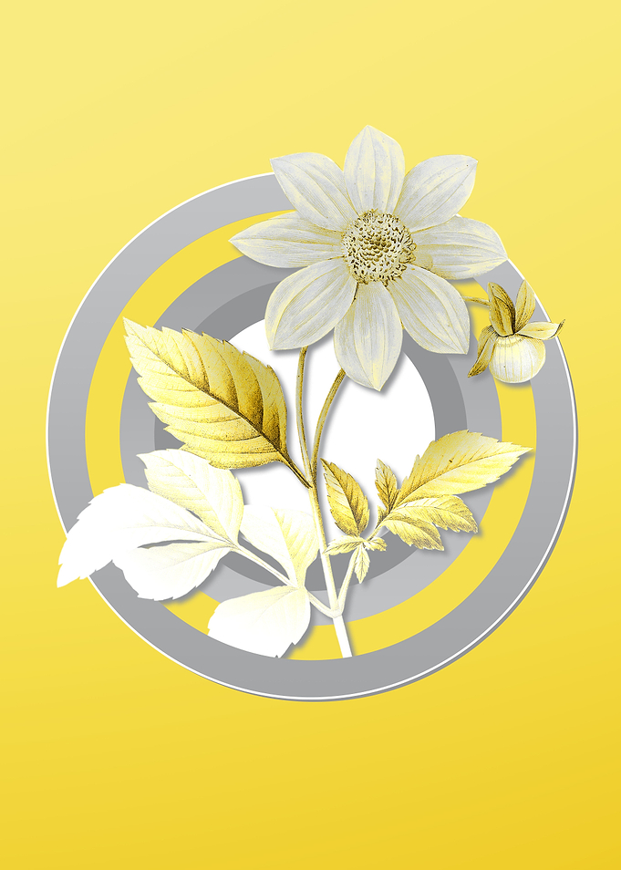 Yellow Flower Illustration