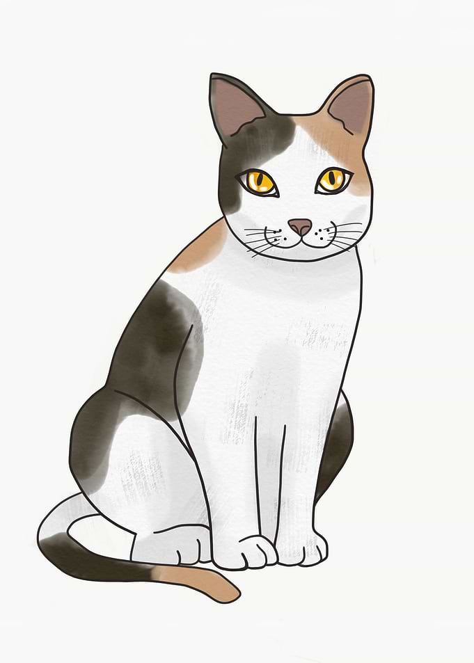 Triple colour cat paint
