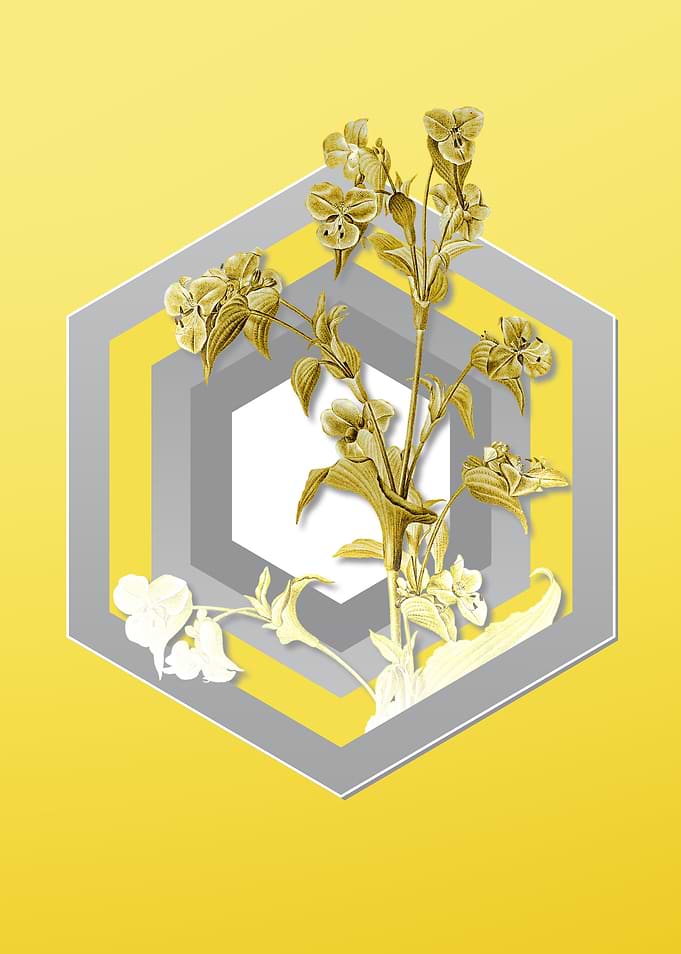 Yellow Floral Botanical