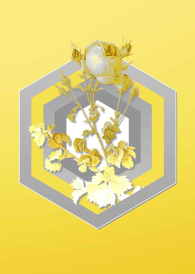Yellow Floral Botanical
