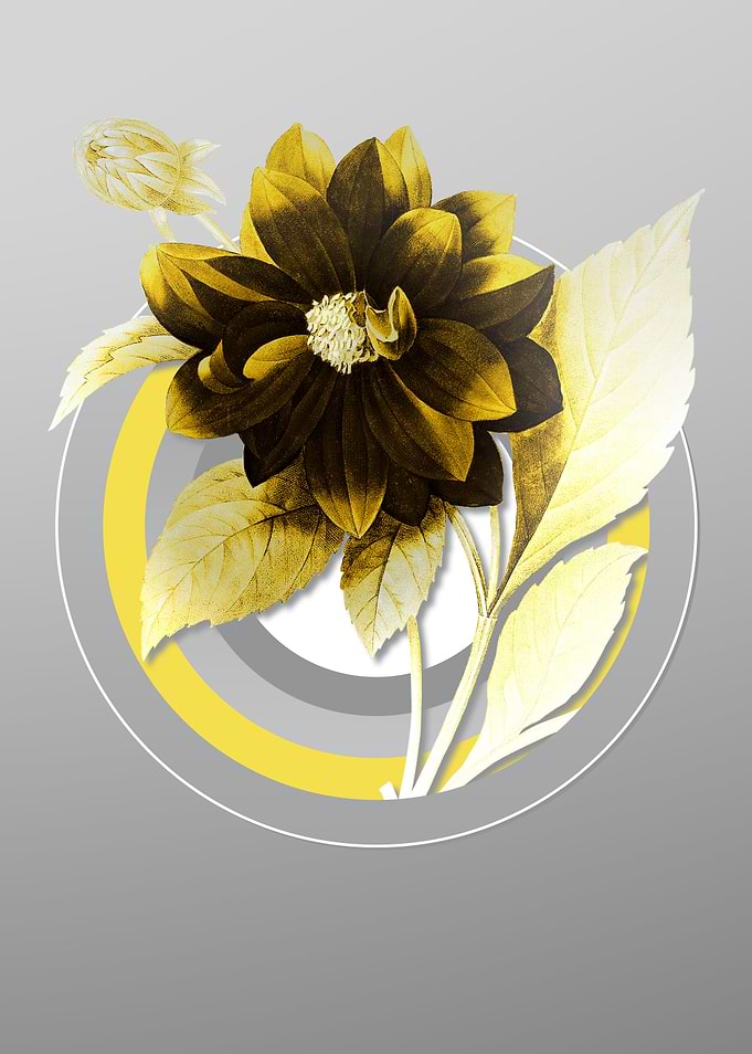 Gray Floral Illustration