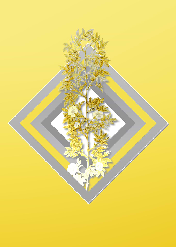 Yellow Flower Illustration