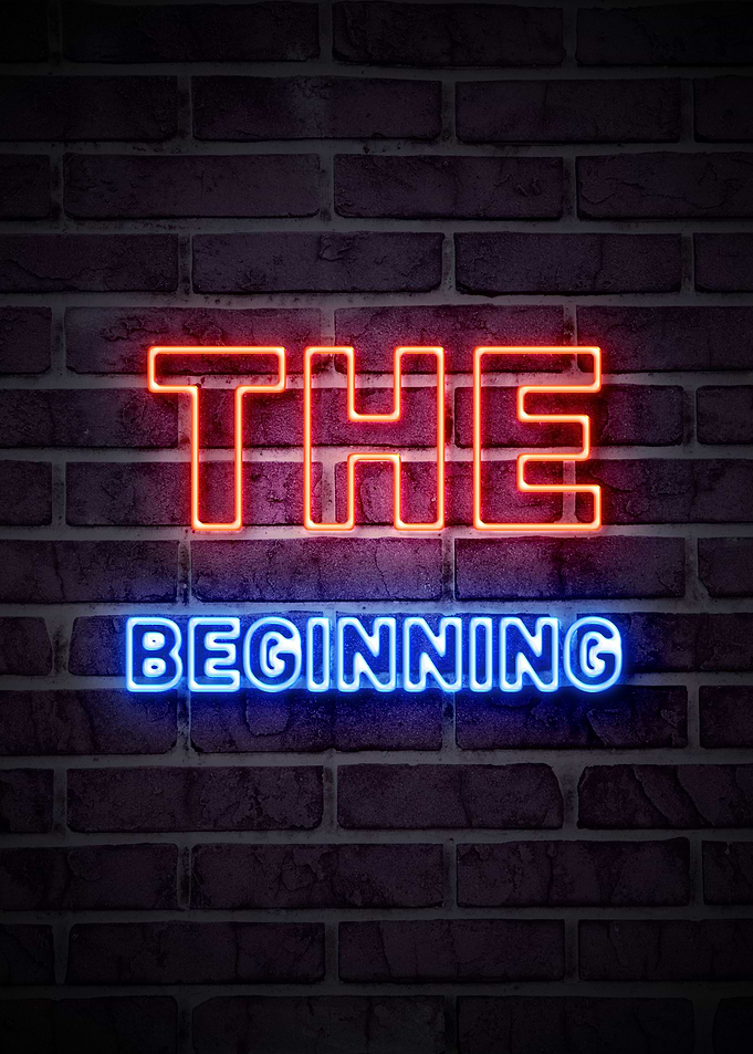 THE BEGINNING