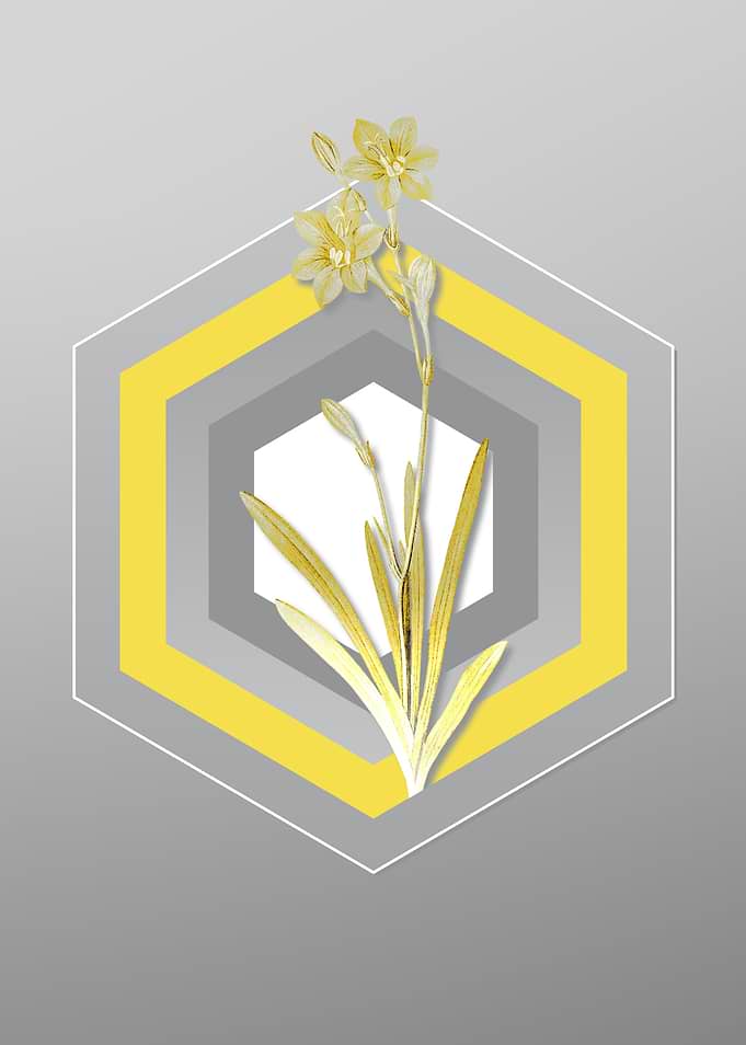 Gray Flower Illustration