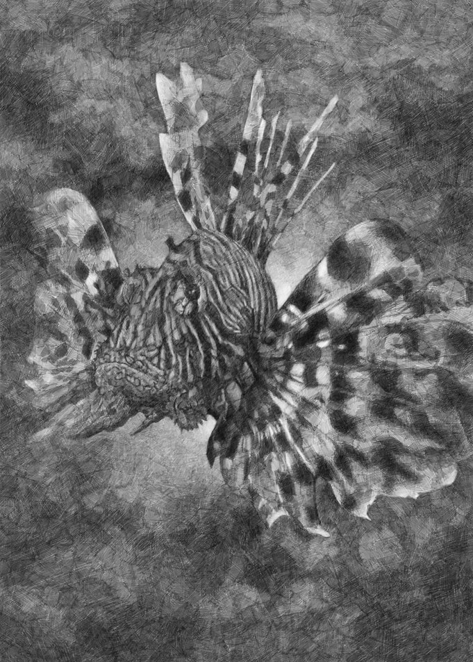 Lionfish I